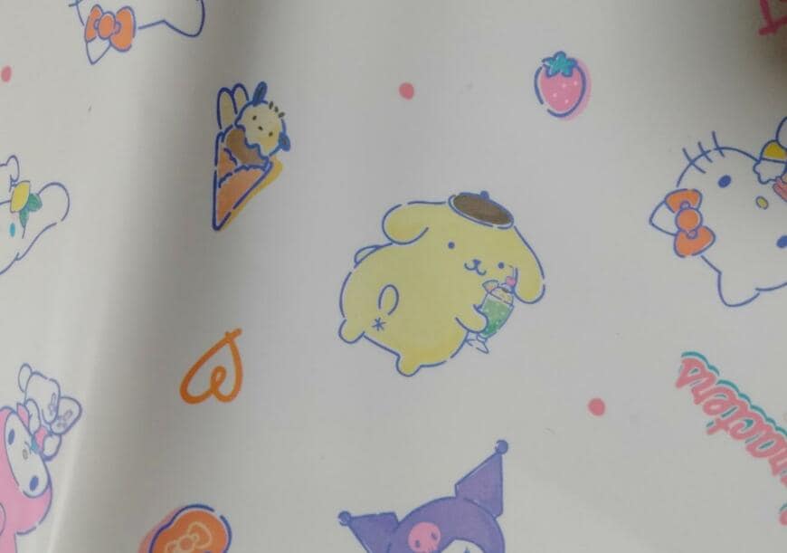 筆者撮影（セリア、仮置きマスクケース M/X フレーバー）