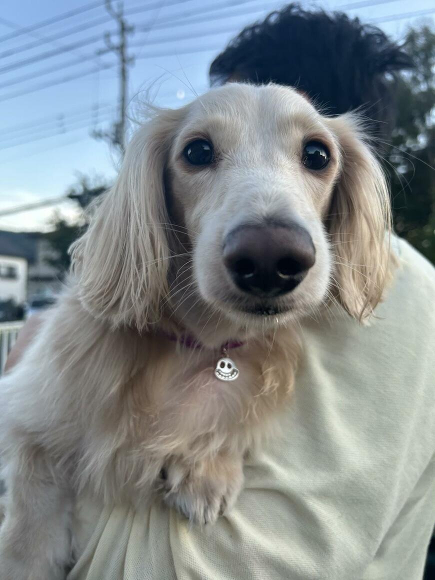 出所：@wanwanmaturi