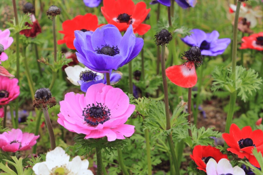 aphichetc/istockphoto.com