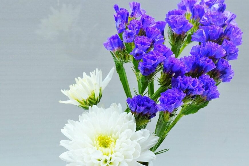 cattosus/shutterstock.com