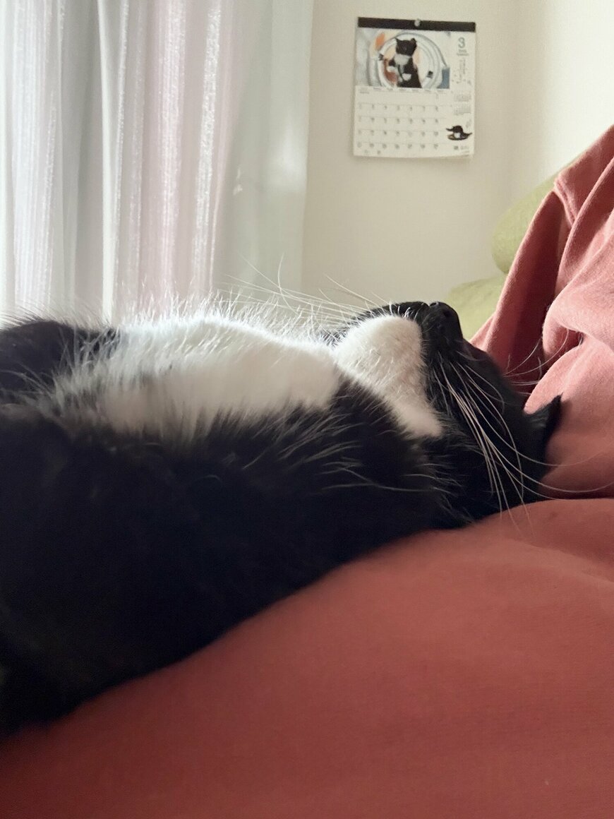 出所：@unicouniuni3