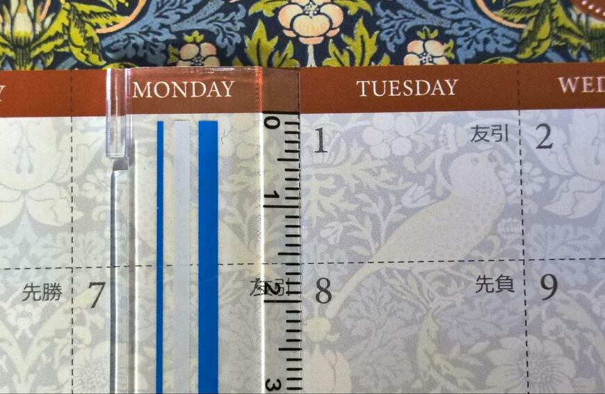 筆者撮影（セリア、卓上カレンダー マスターピースコレクション/WM 4月始まり）