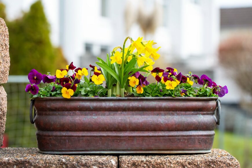 BarthFotografie/shutterstock.com