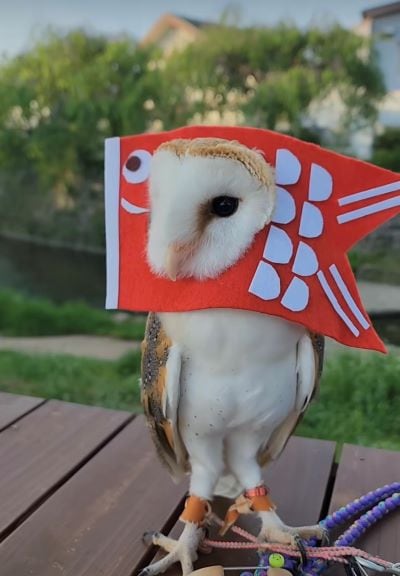 出所：@miki4wan108