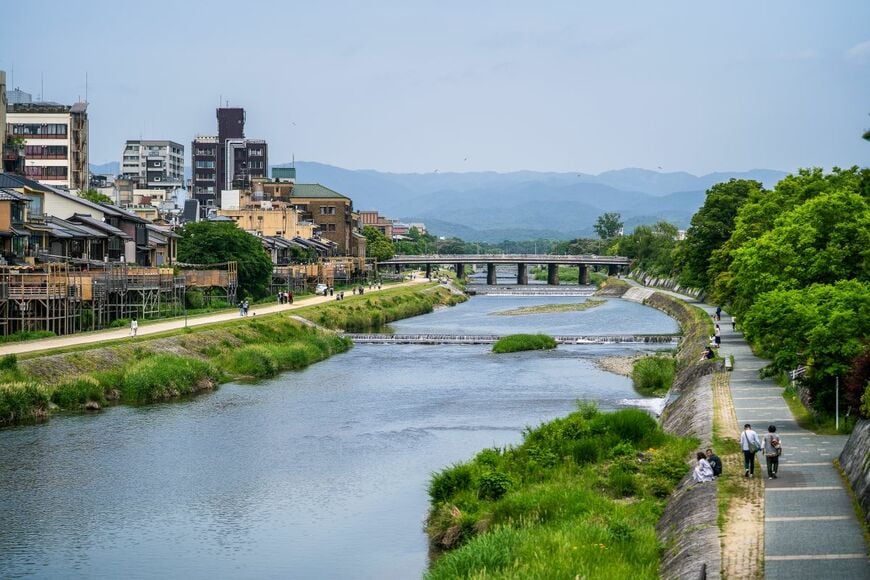 京都・鴨川で「ウナギ？」を発見　「増水後に発見した生物」に二度見してしまう