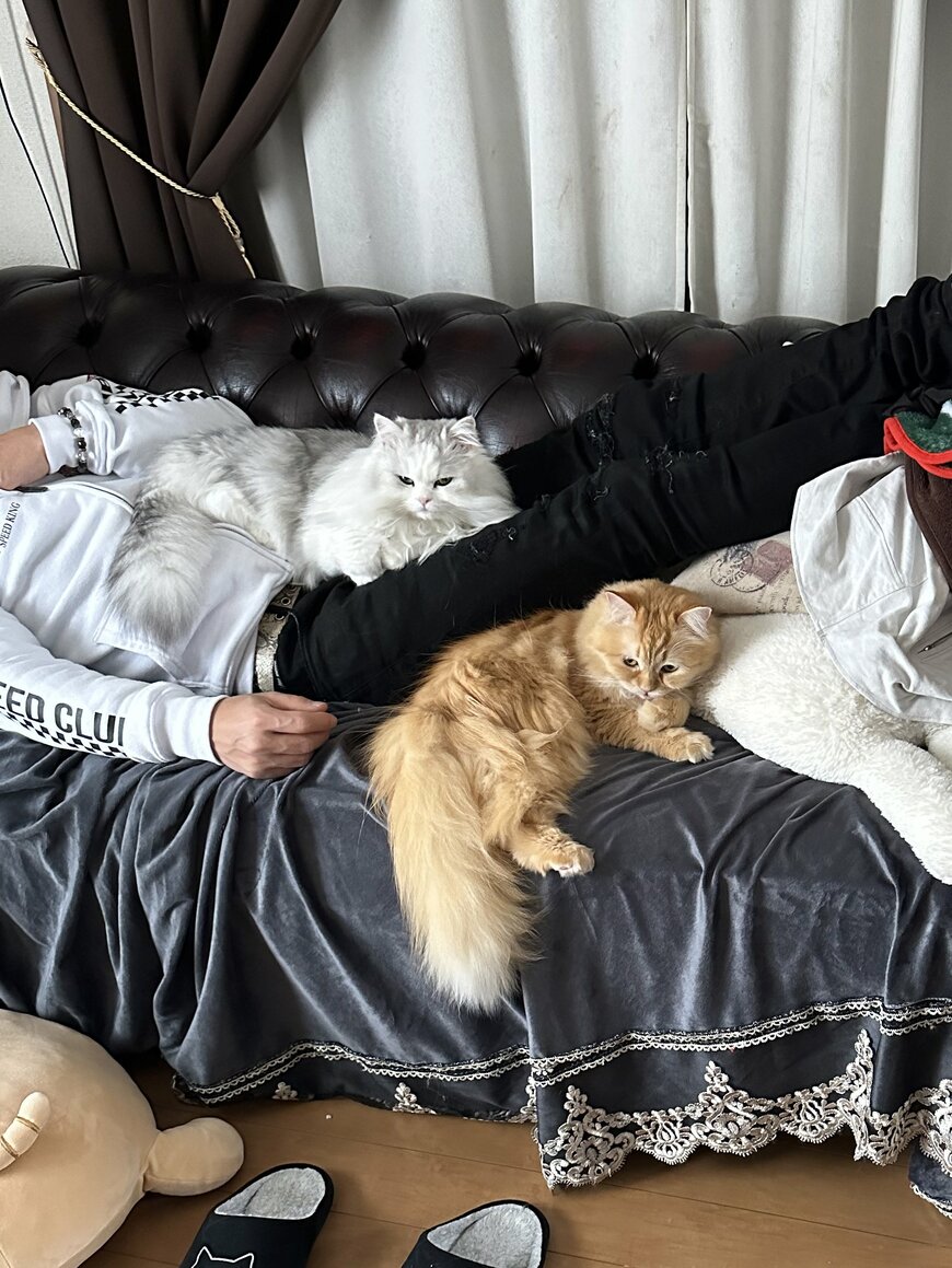 出所：@NEKOLAND13