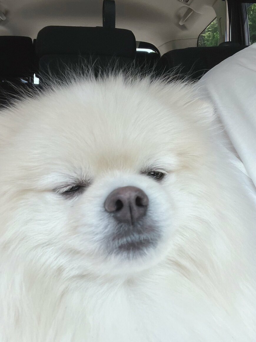 出所：@chikuwa78107742