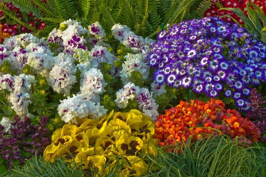 Naresh Sharma/istockphoto.com