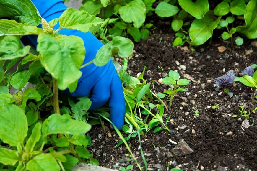 BERMIX STUDIO/shutterstock.com