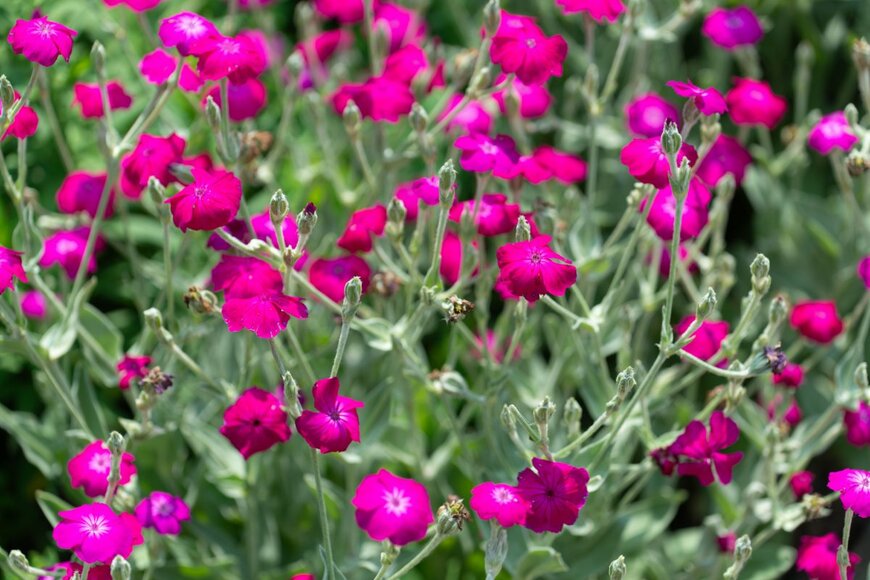 fotografiko eugen/shutterstock.com