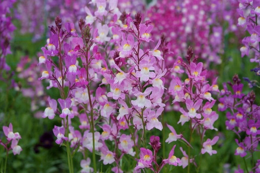 Satoru S/istockphoto.com