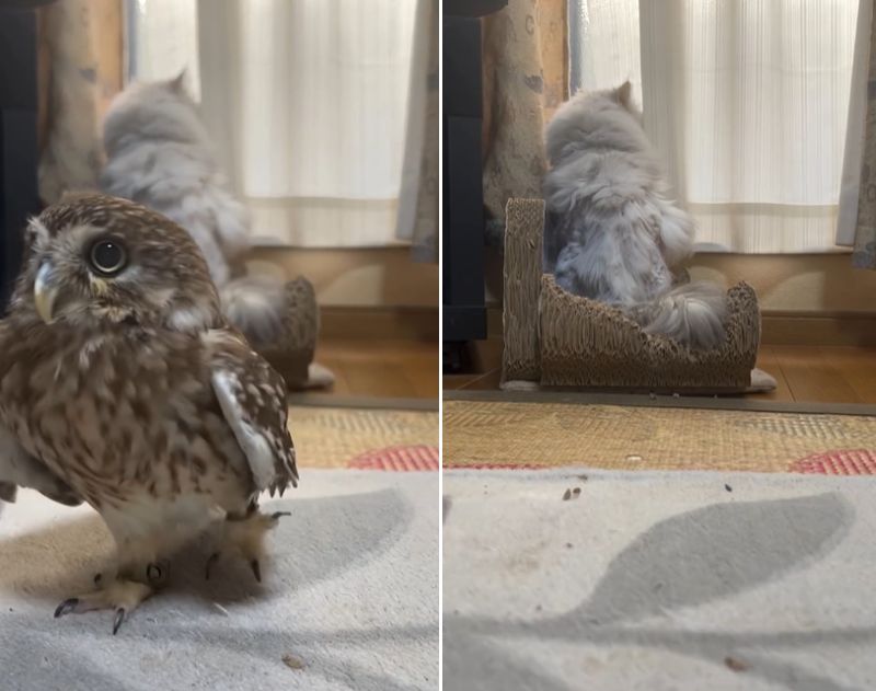 出所：@cr8673.hiro