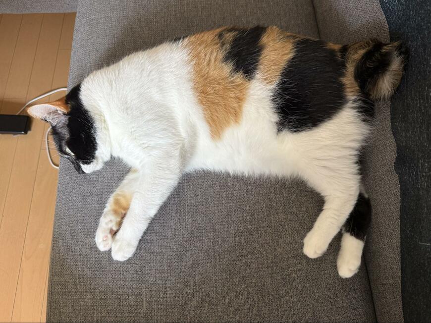 出所:@asjSvnCZl18wKXM