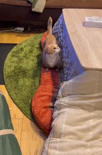 出所：@kotaro_0315