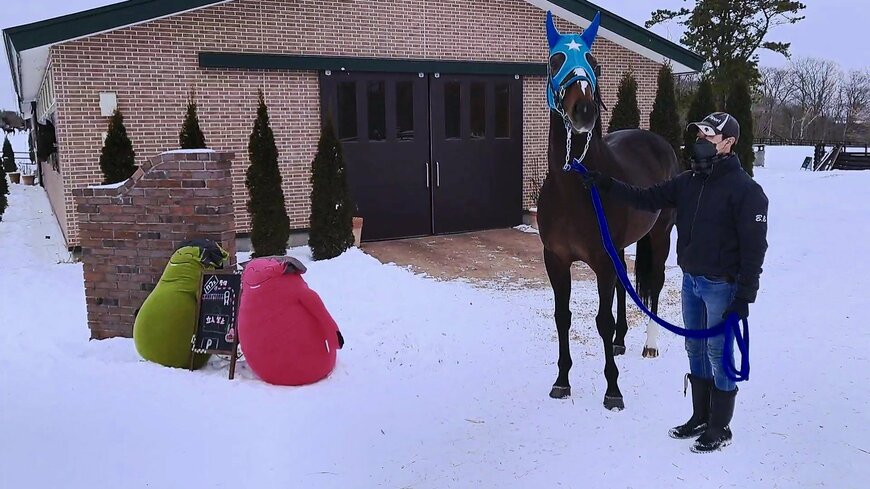 出所：Yogiboヴェルサイユリゾートファームツイッターアカウント 