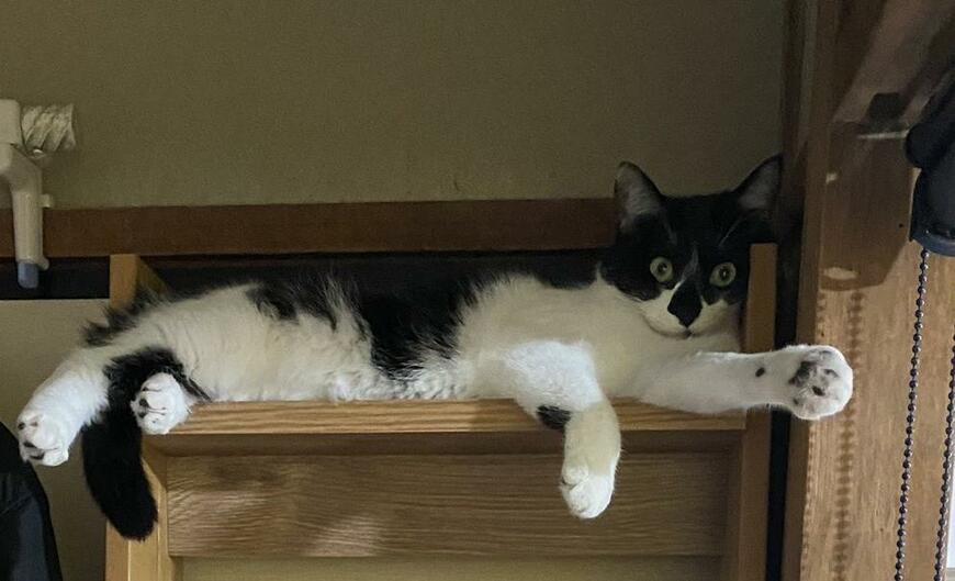 出所：@00shitemita