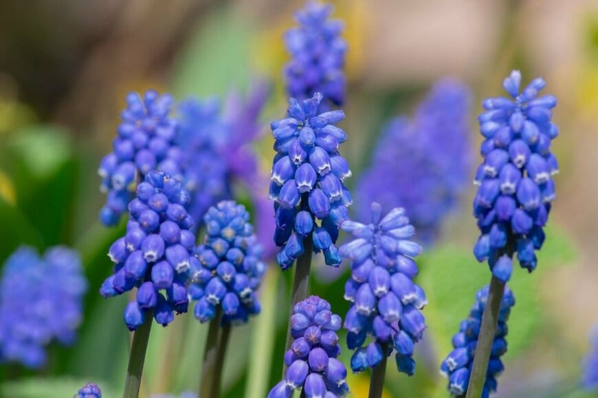 Iva Vagnerova/shutterstock.com