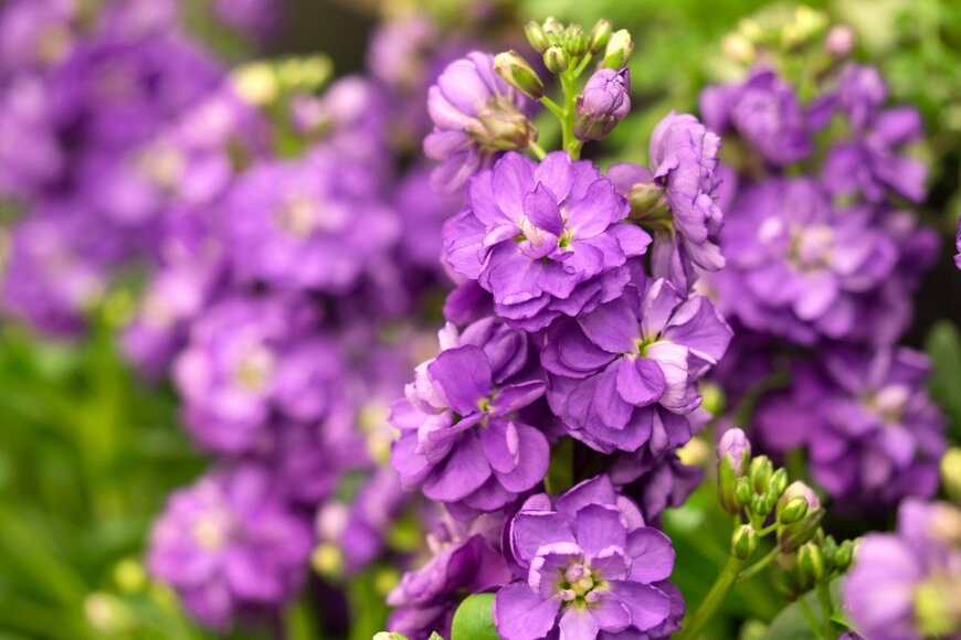 y-studio/istockphoto.com