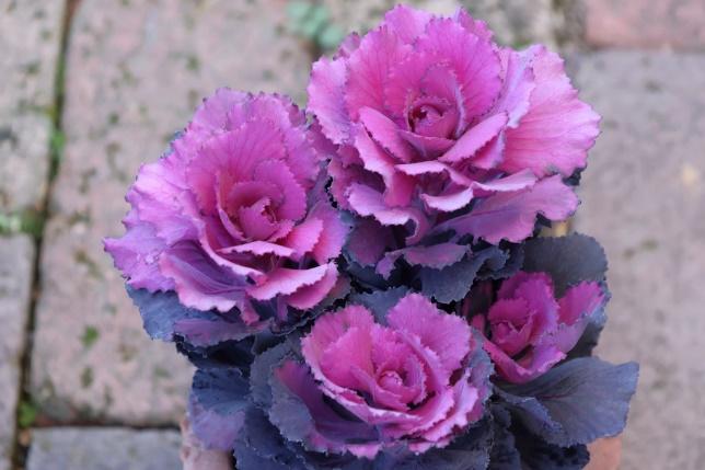 出所：筆者撮影