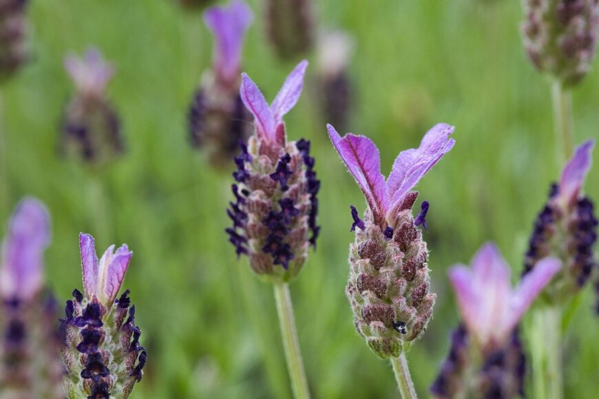 Tales by Pictures/istockphoto.com