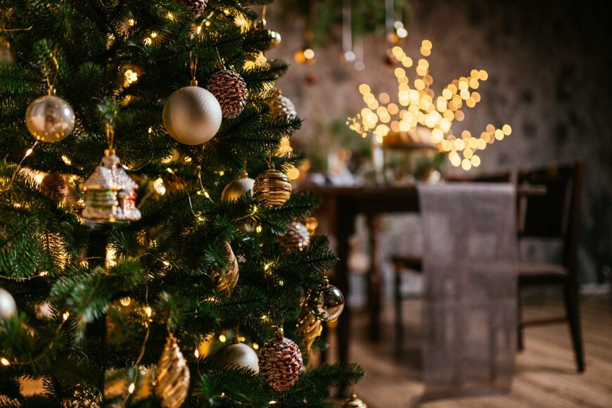 【ガーデニング】クリスマスツリーに最適なコニファー　育て方のコツとオススメ品種5選