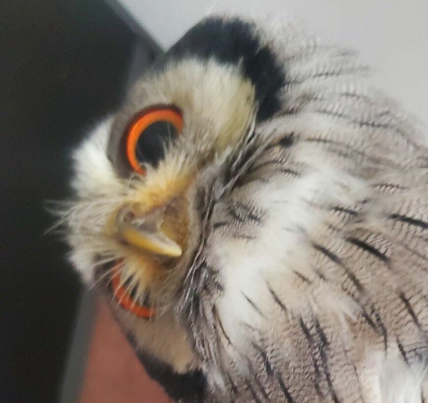 投稿動画のワンシーン