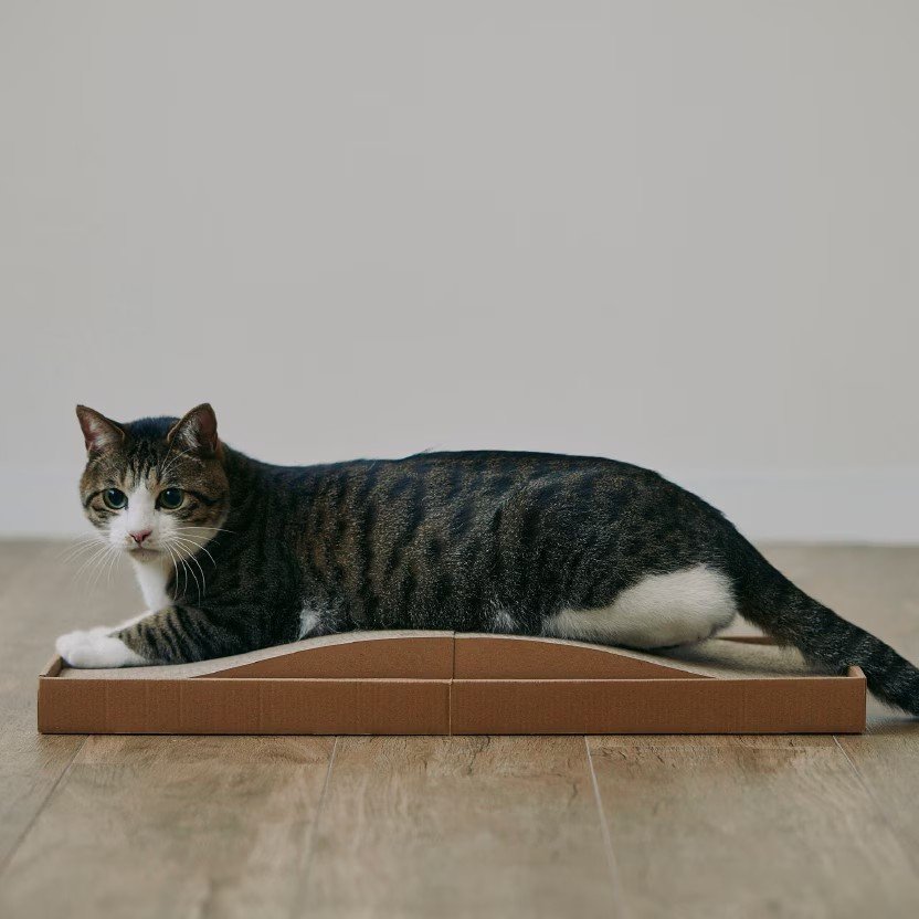 無印良品公式 ダンボール 爪とぎベッド 画像