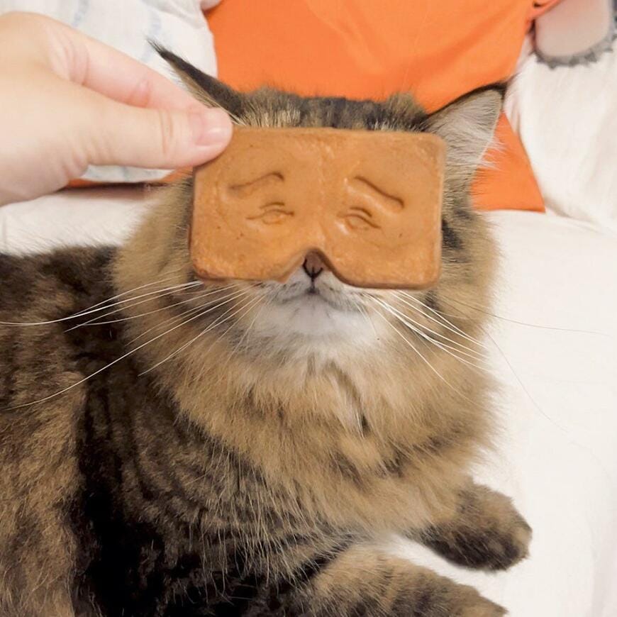 にわか煎餅と猫