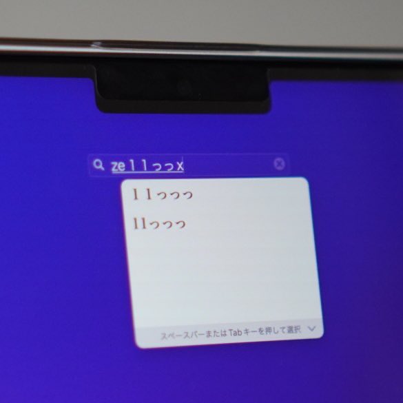 猫が打った文字