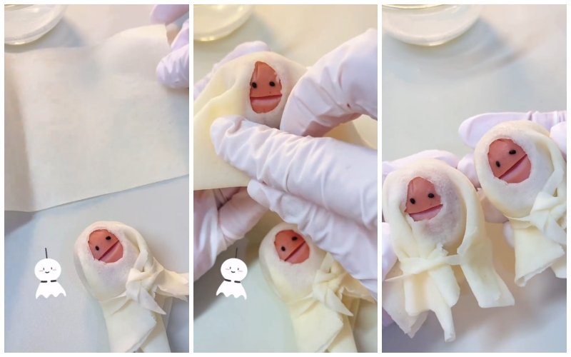 投稿動画のワンシーン