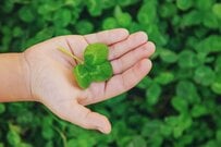 【住民税非課税世帯へ現金10万円給付】7月から順次受付開始。秋には追加で給付か