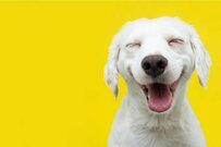 みんな年金は月額平均いくら受給しているのか、厚生年金と国民年金を大解剖