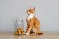 50歳代《ほぼ3割が貯蓄ゼロ》では2000万円超の世帯は何パーセント？《老齢年金》ライフコース別の年金例を5パターンで紹介