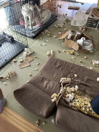 「泥棒入ったかと思ったやん…」