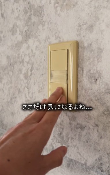 変身前のスイッチプレート