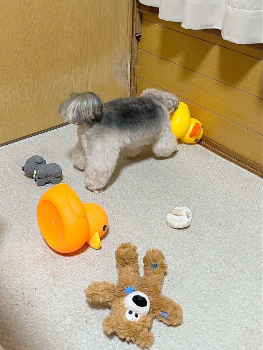 出所：@potage_0924