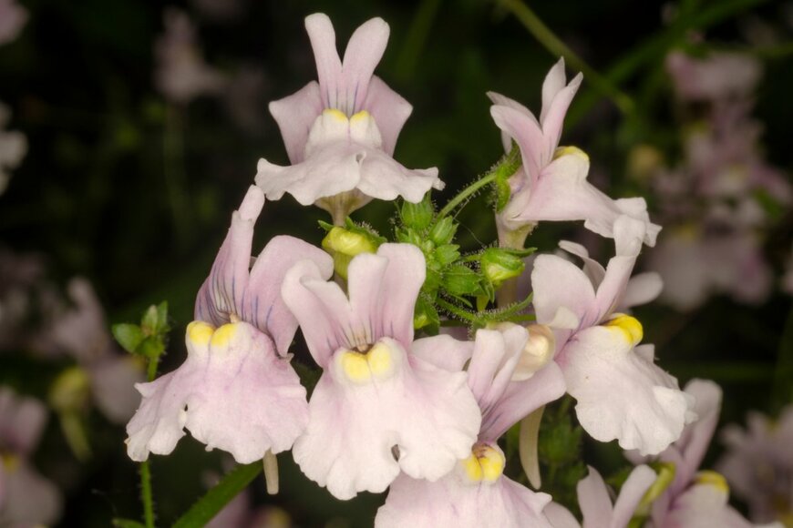 Gema Garcia Martin/istockphoto.com