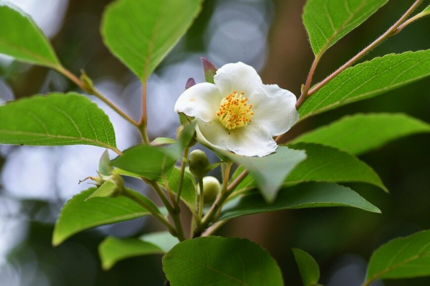 undefined undefined/istockphoto.com