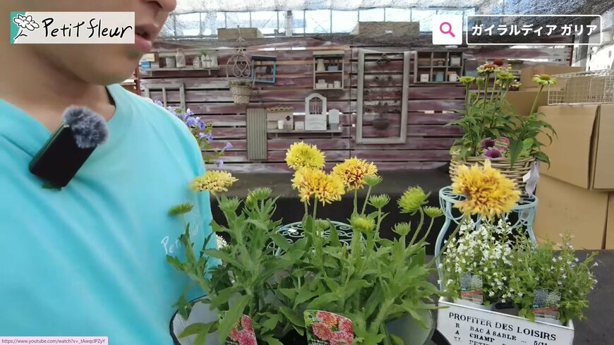 出所：@petit_fleur