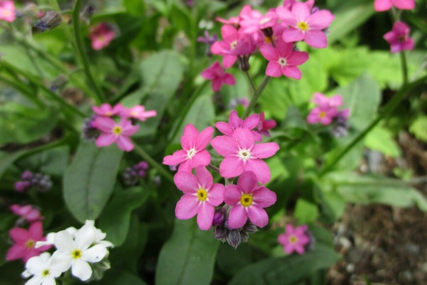 Rolleen Annie and Rowena Ho K./istockphoto.com