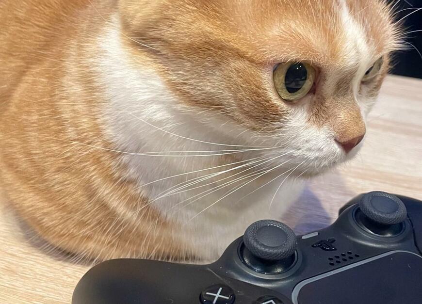 出所：@kotaro_0315