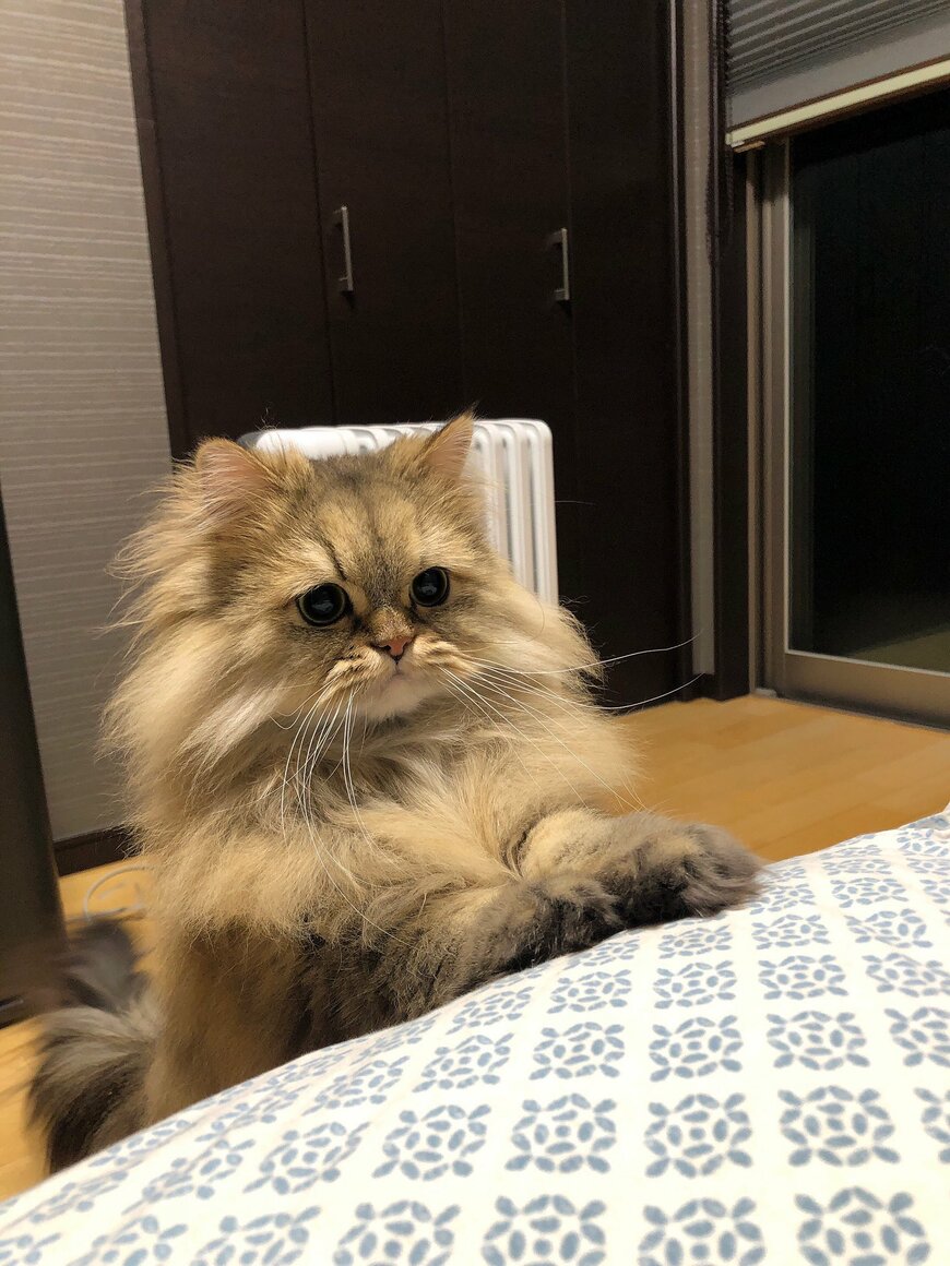 出所：@UphQepCv8J