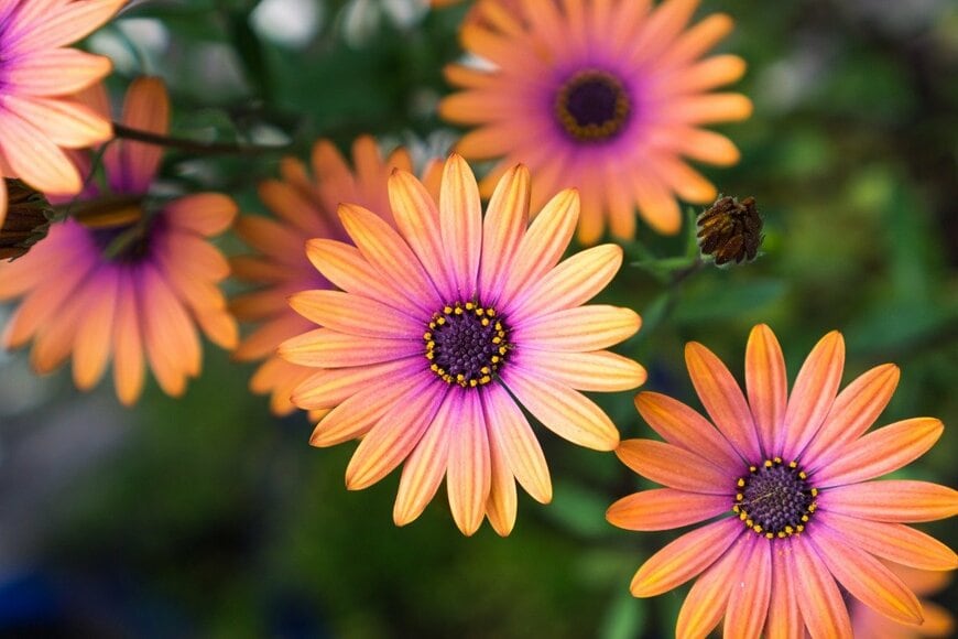 Sundry Photography/istockphoto.com