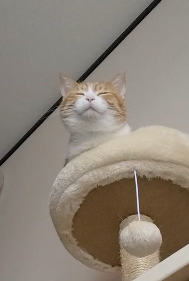 出所：@mero627puri914