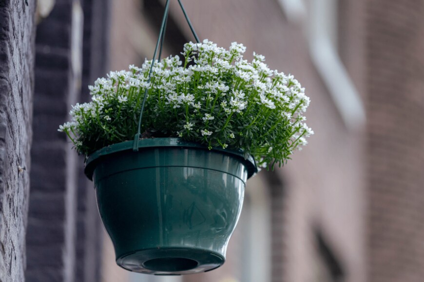 Wut_Moppie/shutterstock.com