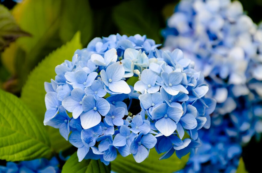 PeoGeo/istockphoto.com