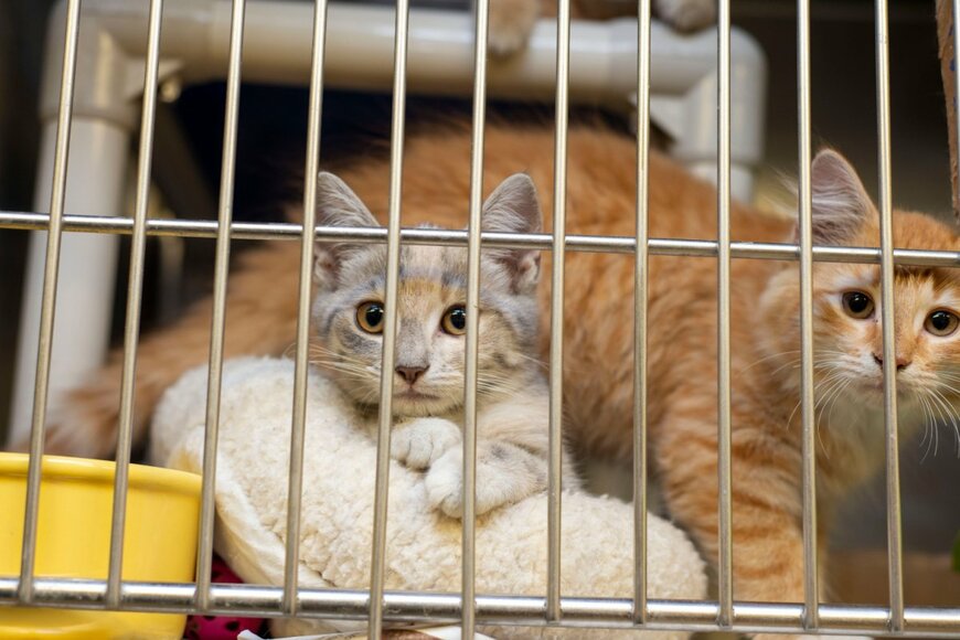 JW Design/shutterstock.com