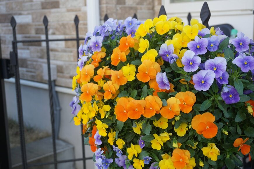 mamesuke/Shutterstock.com