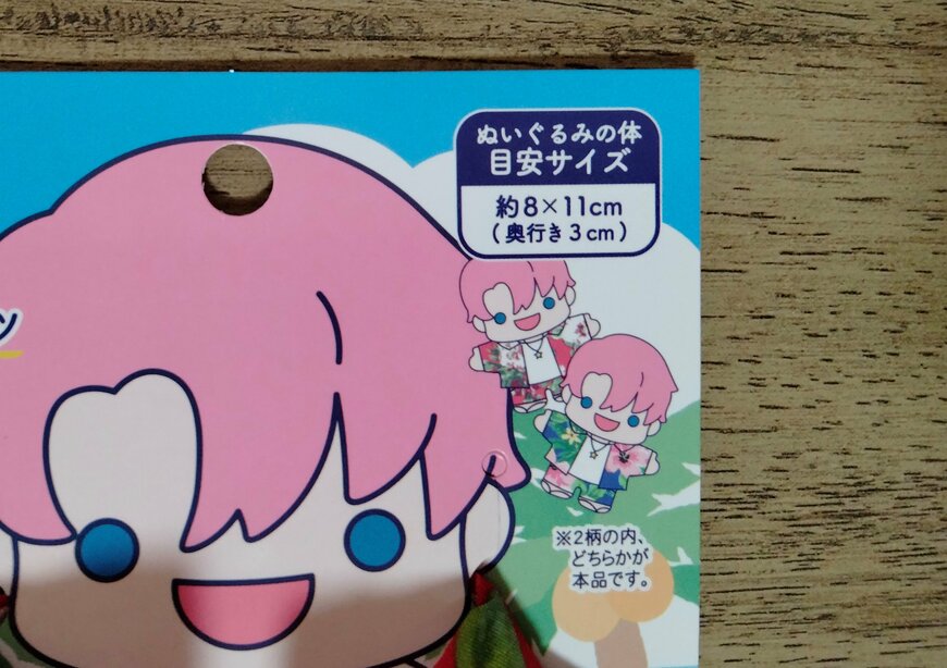 画像出所：筆者撮影（セリア、ぬい用アロハシャツ ヲタコレ ぬい活）