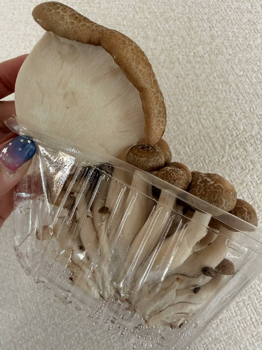 出所：＠saki.nb358